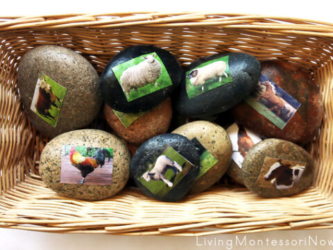 Image for Farm Animal Story Stones