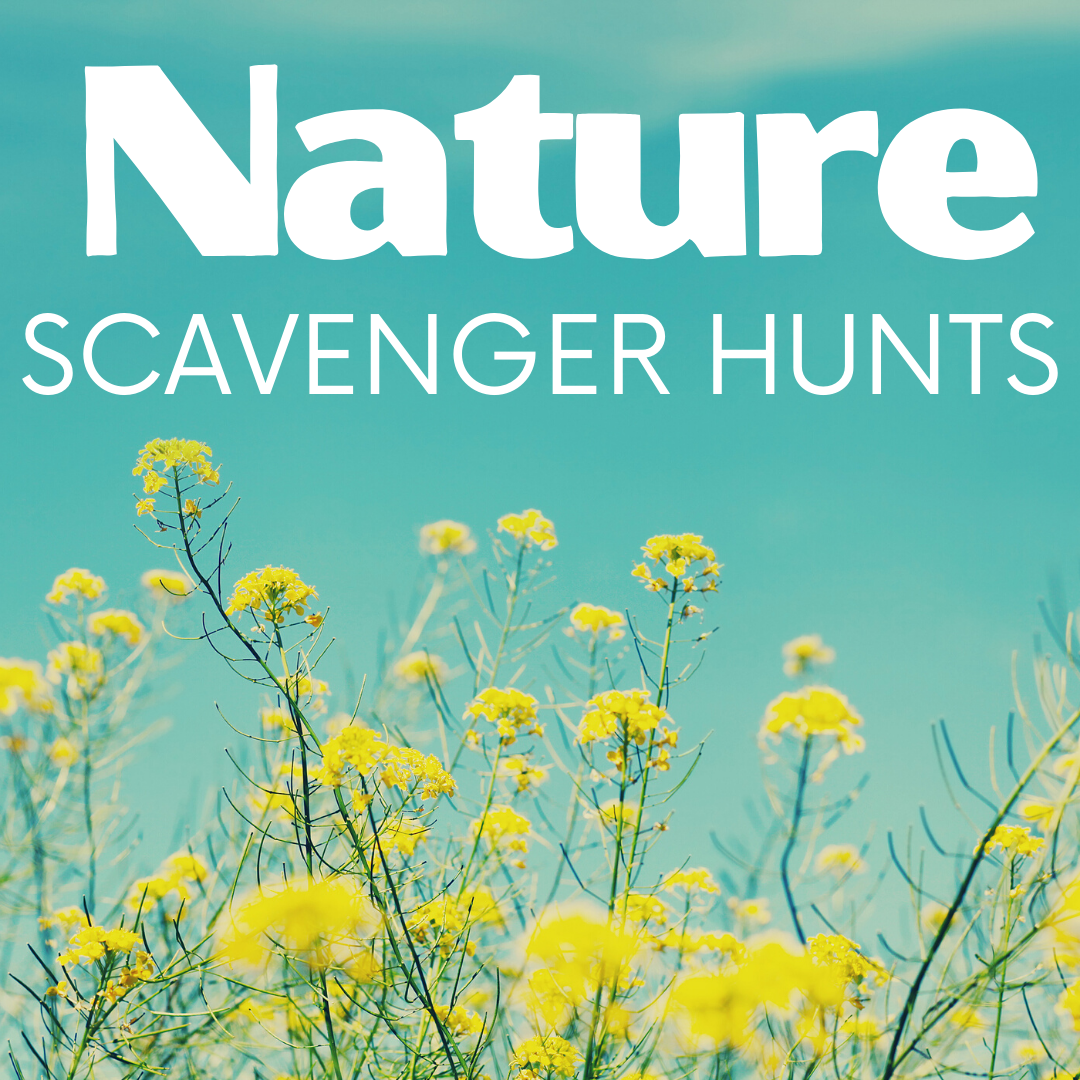 As the weather begins to warm up, why don't you plan some nature scavenger hunts for the kids? They can be done in the neighborhood or backyard.
