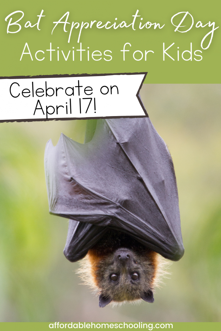 Bat Appreciation Day Activities for Kids