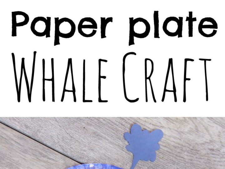 Image for Whale paper plate craft