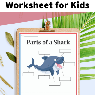 Label a Shark Worksheet