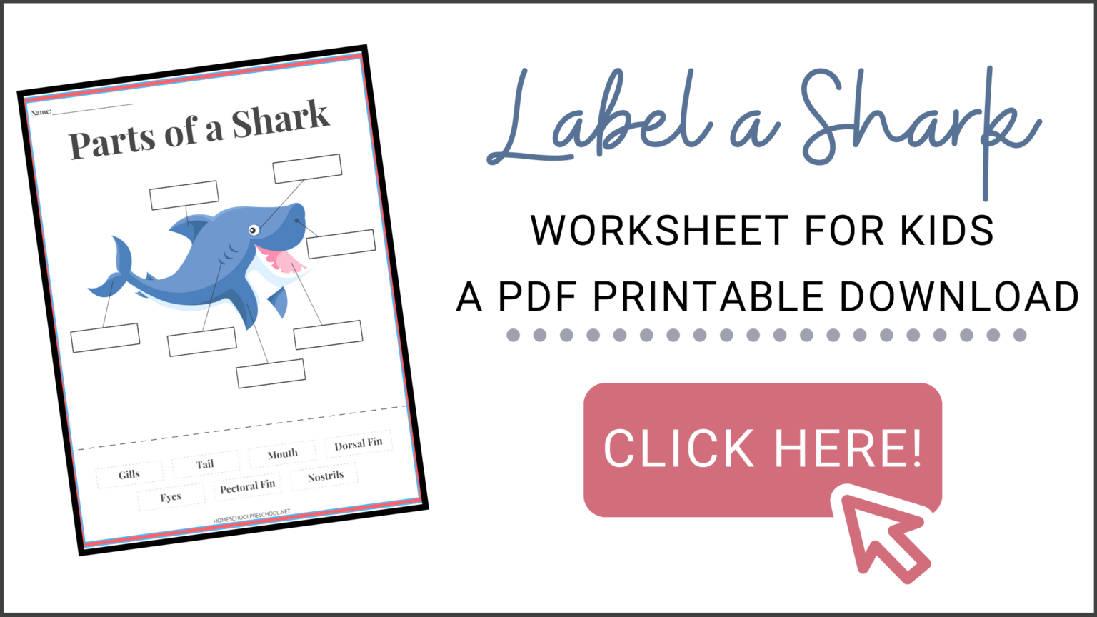 Free Printable Label a Shark Worksheet for Kids