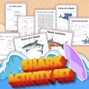 Shark Printable Activities