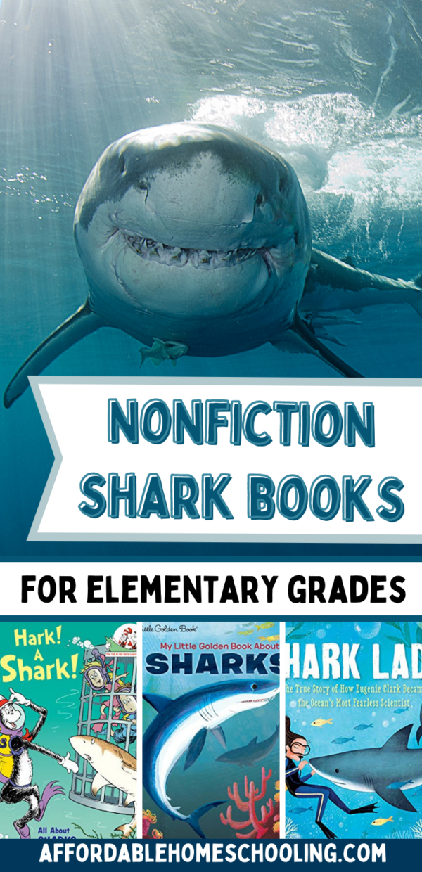 12 Nonfiction Books About Sharks for Elementary Grades