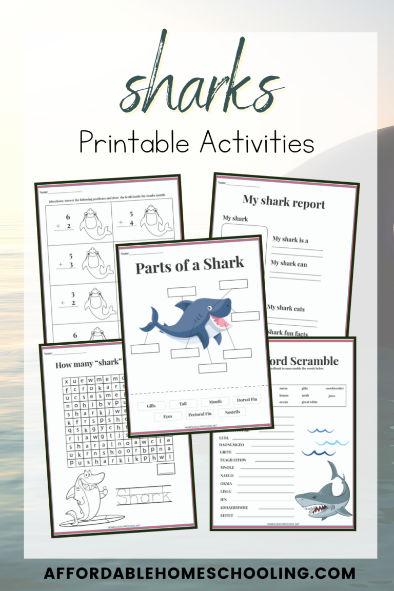 Shark Worksheets for Kids
