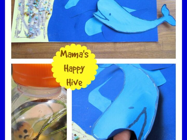 Image for Jonah & the Whale: Montessori Style