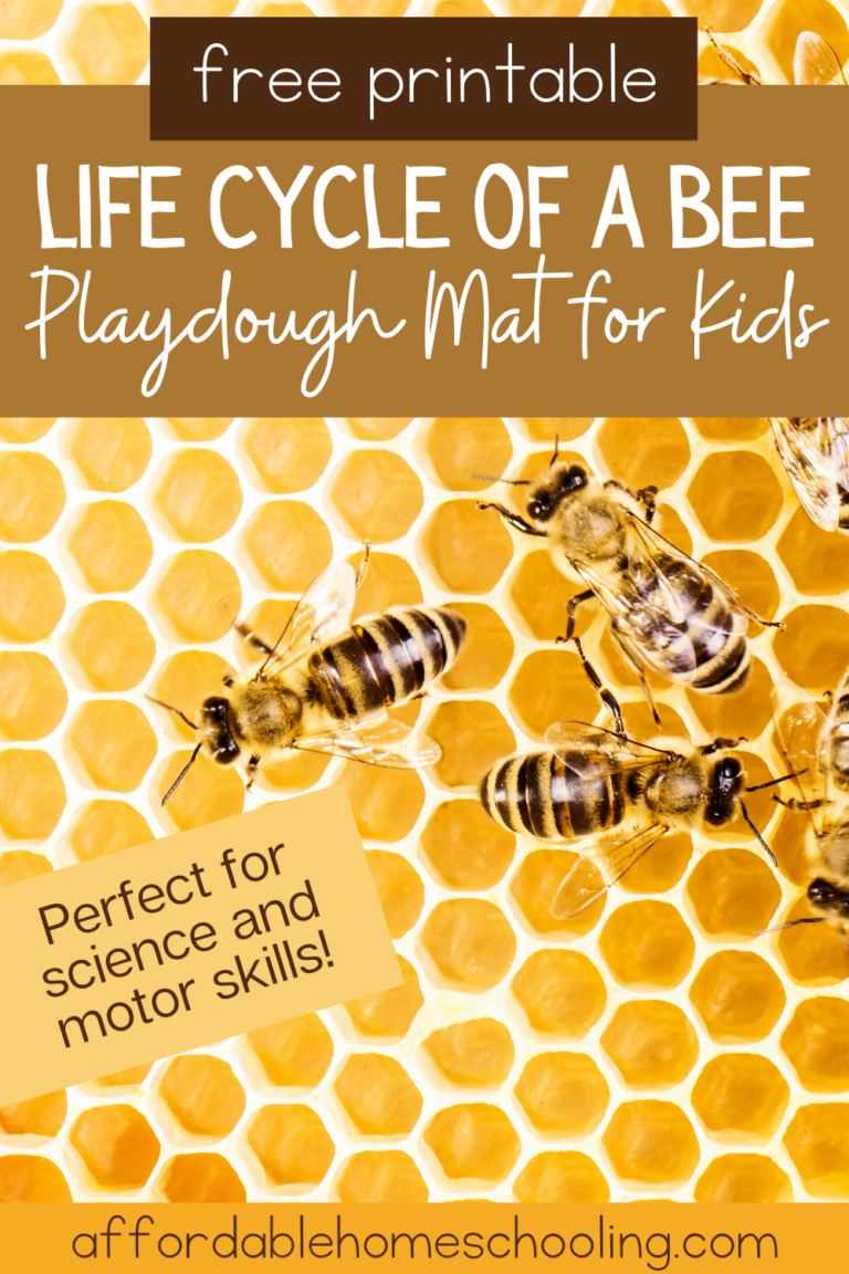 Bee Life Cycle Playdough Mat