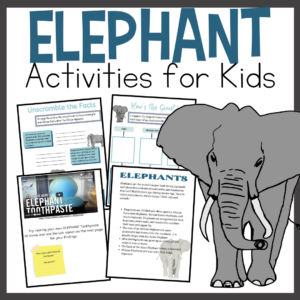 Elephant Activities for Kids