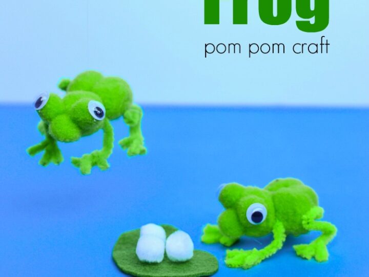 Image for Frog Life Cycle Pom Pom Craft