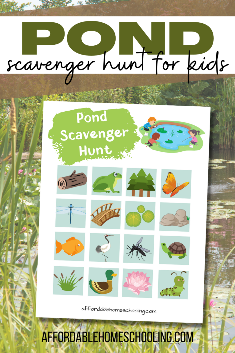 Pond Scavenger Hunt