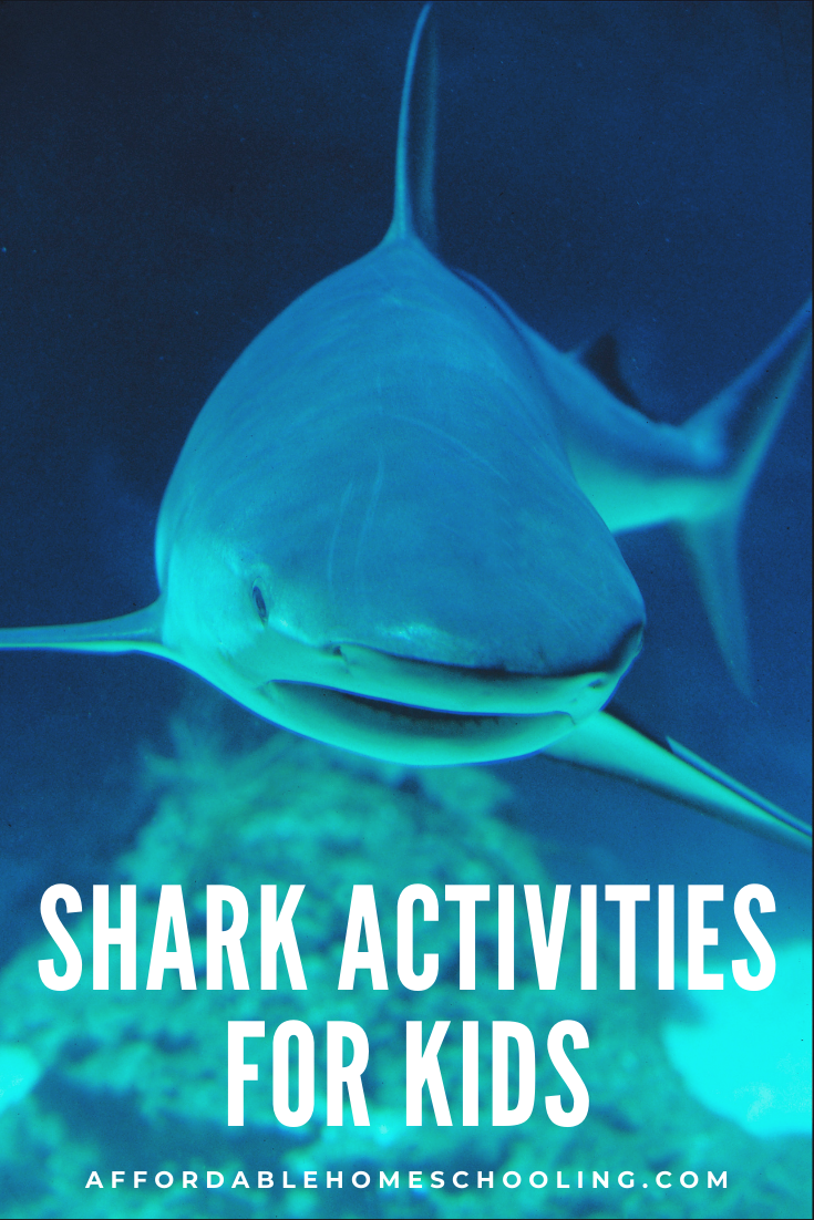 Shark Activities for Kids