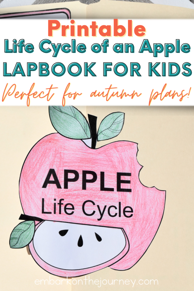 Life Cycle of an Apple Lapbook