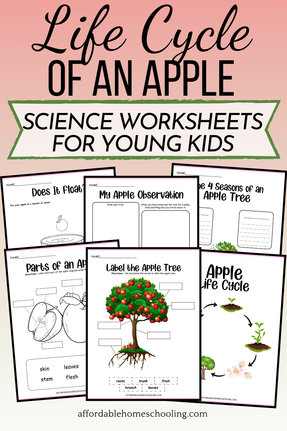 Free Printable Apple Life Cycle Worksheets For Kids