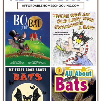 Bat Books for Kids