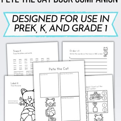 Pete the Cat at the Beach Worksheets