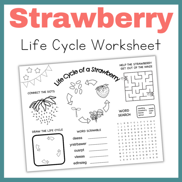 Free Printable Life Cycle of a Strawberry Activities