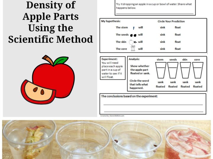 Image for Exploring the Density of Apple Parts Using the Scientific Method
