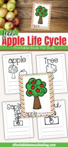 Free Apple Life Cycle Printable Book for Kids