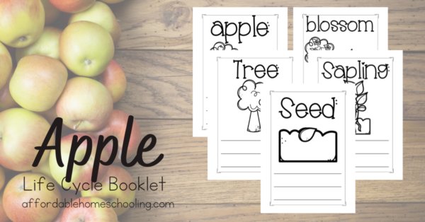 Free Apple Life Cycle Printable Book for Kids