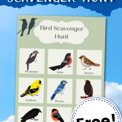 Bird Scavenger Hunt Printable