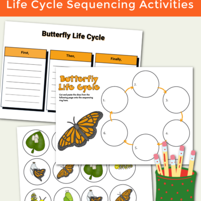 Butterfly Life Cycle Sequencing Activity