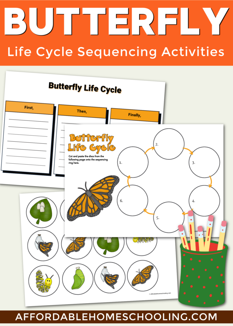 Butterfly Life Cycle Sequencing Activity