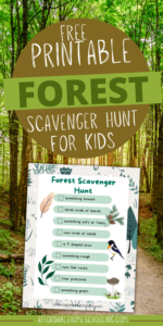 Free Forest Scavenger Hunt Printable for Kids of All Ages