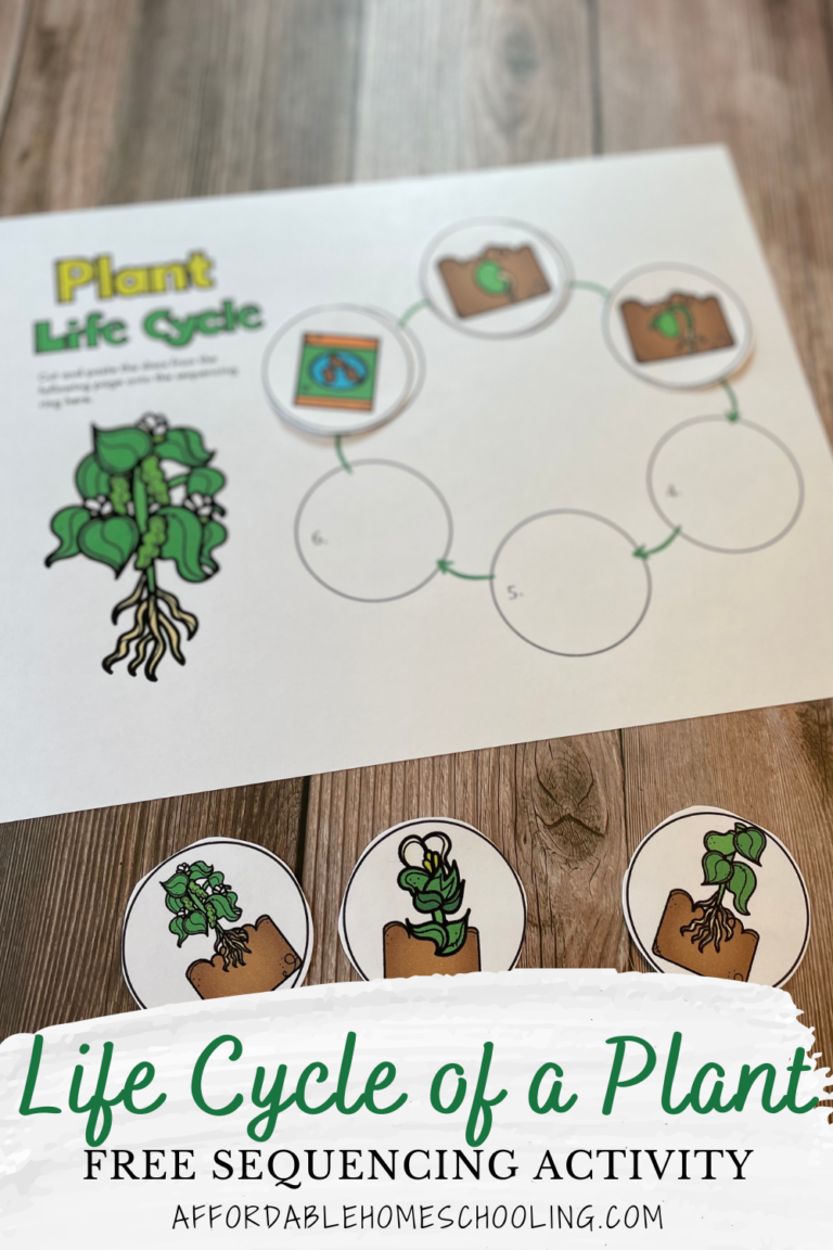 Life Cycle of a Plant Cut and Paste Worksheet