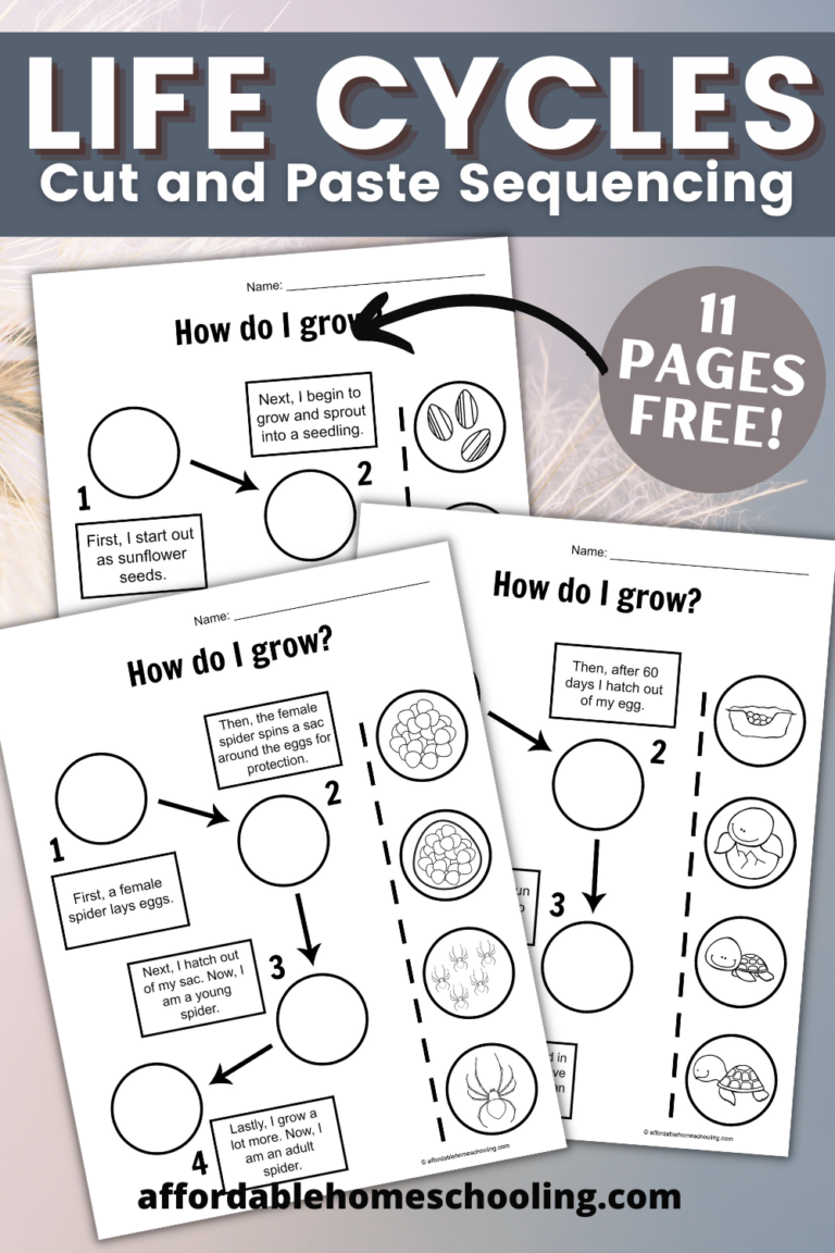 Life Cycle Cut and Paste Worksheets