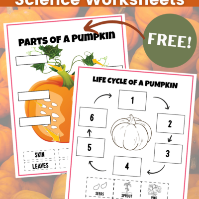 Pumpkin Science Worksheets