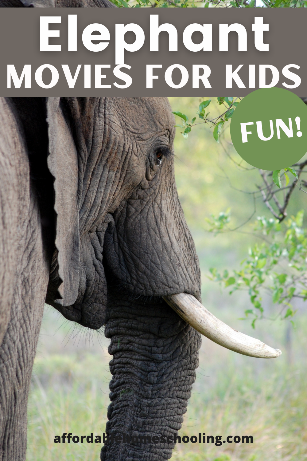 10 Exciting Elephant Movies for Kids of All Ages