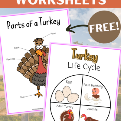 Thanksgiving Turkey Worksheets