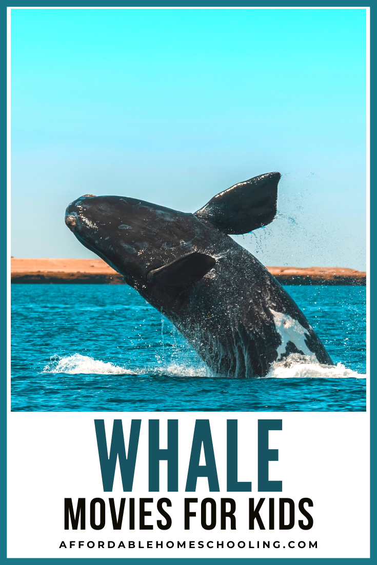 Whale Movies for Kids