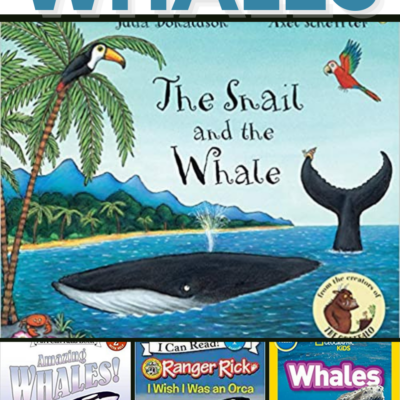 Whale Books for Preschoolers