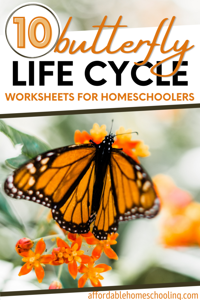 Life Cycle of a Butterfly Printables