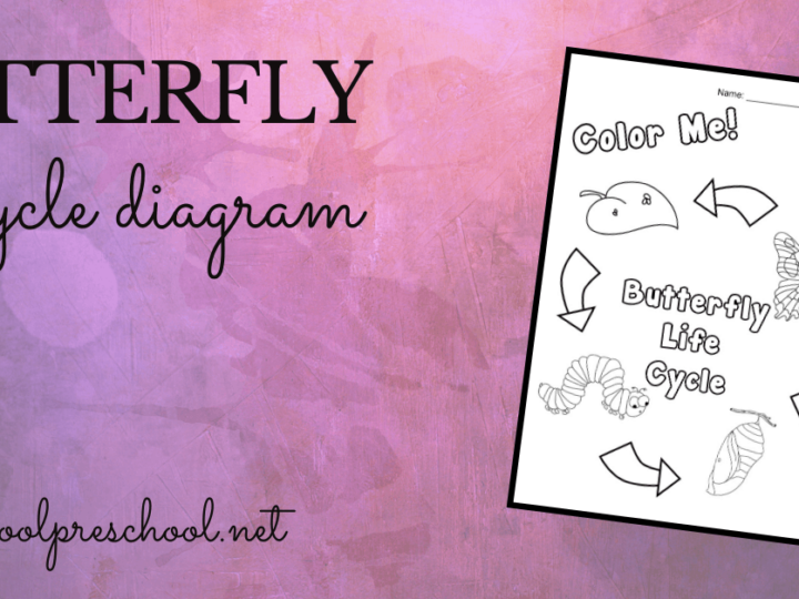 Image for Butterfly Life Cycle Coloring Page