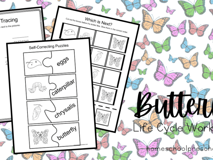 Image for Printable Life Cycle of a Butterfly for Kids