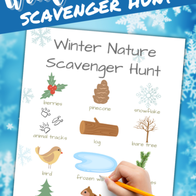 Winter Nature Scavenger Hunt