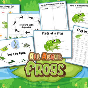 Frog Worksheets for Kids