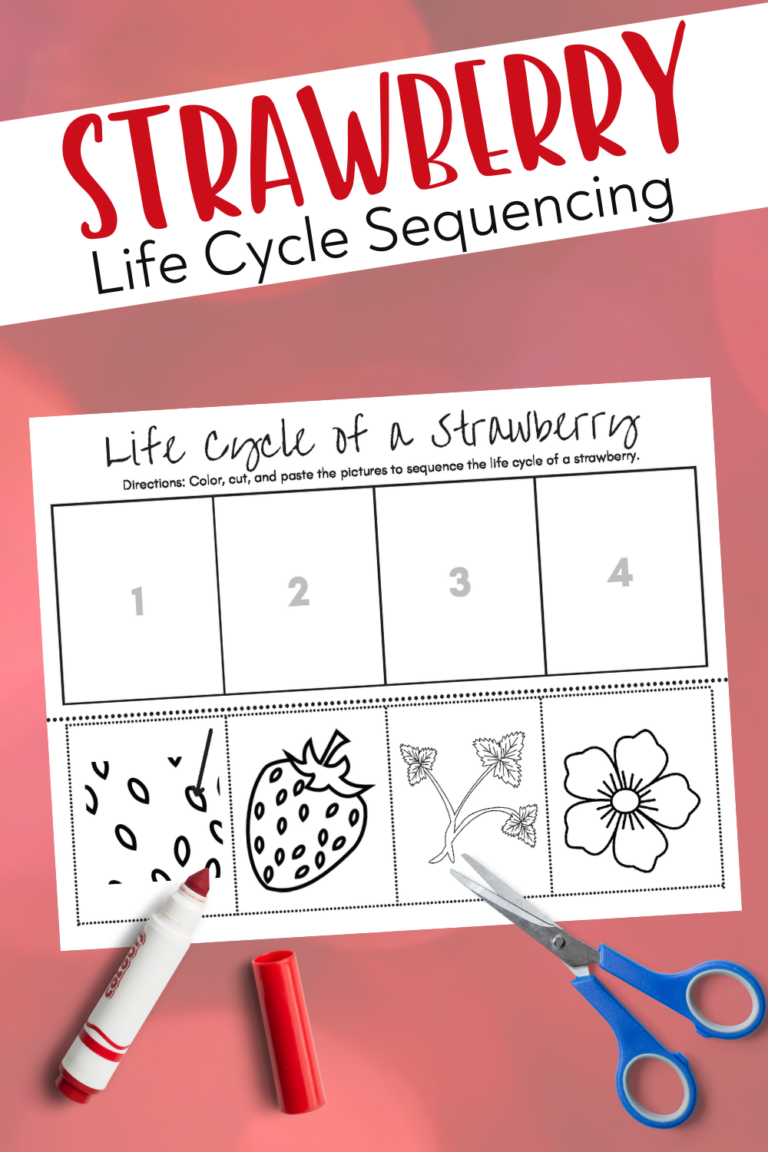 Strawberry Life Cycle Worksheet