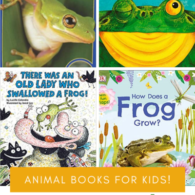 Frog Books for Preschoolers