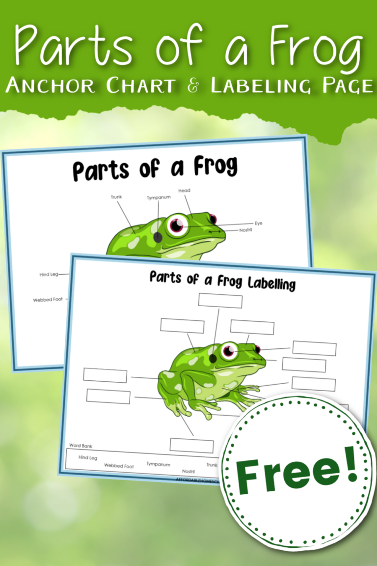 Label a Frog Worksheet