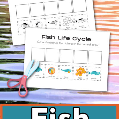 Fish Life Cycle Worksheet