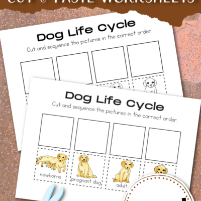 Life Cycle of a Dog Worksheet