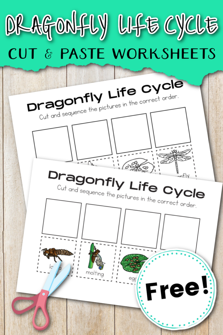 Dragonfly Life Cycle Worksheet