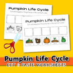 Free Life cycle of a Pumpkin Printable
