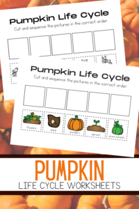 Free Life cycle of a Pumpkin Printable