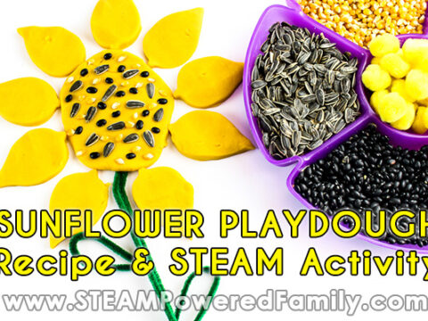Image for Sunflower STEAM Activity with Homemade Playdough