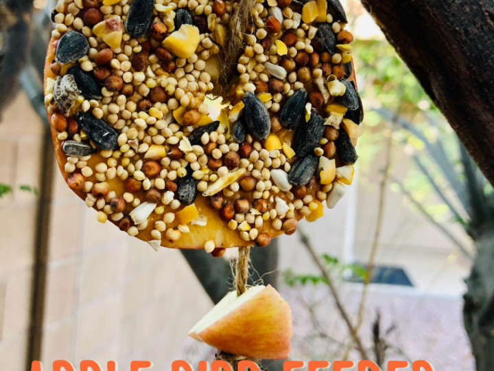 Image for Apple Bird Feeder