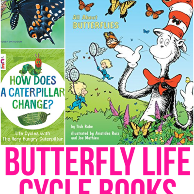 Butterfly Life Cycle Books